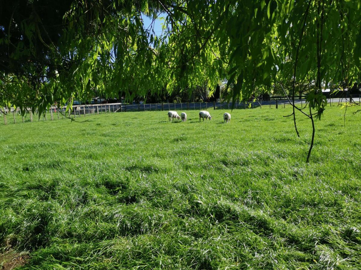 Farm Stay On Te Awa Cycleway Tamahere Exterior photo